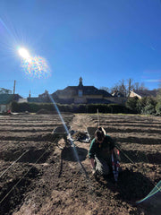 [B] Sonchamp — Depuis 2023