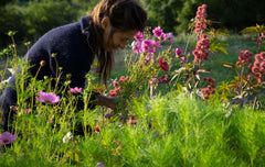 [C] Perche — 2020-2021