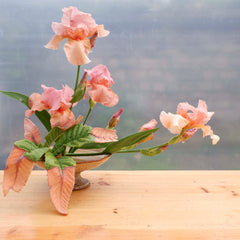 [A] Paris 20ème — Depuis 2017