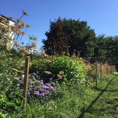 Visite de la ferme parisienne
