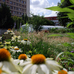 [A] Paris 20ème — Depuis 2017