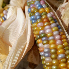 [A] Paris 20ème — Depuis 2017