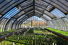 [C] Perche — 2020-2021