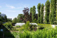 [A] Paris 20ème — Depuis 2017