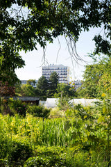 [A] Paris 20ème — Depuis 2017