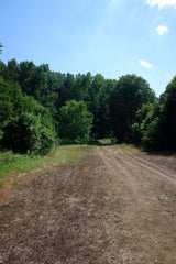 [B] Sonchamp — 2023