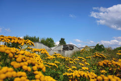 [B] Sonchamp — 2023