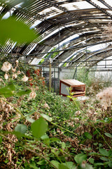 [B] Sonchamp — 2023