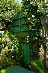 [B] Sonchamp — 2023