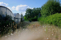 [B] Sonchamp — 2023