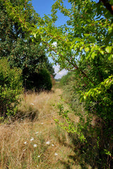 [B] Sonchamp — 2023