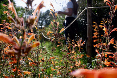 Visite de la ferme parisienne