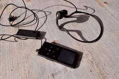 Visite de la ferme parisienne