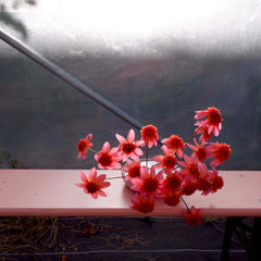 [A] Paris 20ème — Depuis 2017