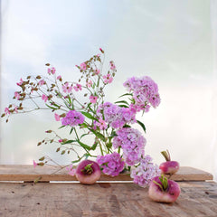 [C] Perche — 2020-2021