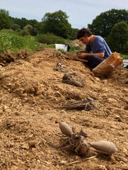 [C] Perche — 2020-2021