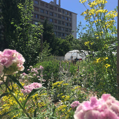 Visite de la ferme parisienne