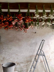 [C] Perche — 2020-2021