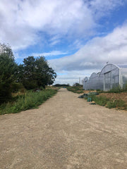 [C] Perche — 2020-2021