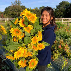 [C] Perche — 2020-2021