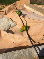 [C] Perche — 2020-2021