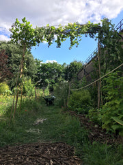Visite de la ferme parisienne