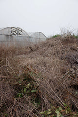 [B] Sonchamp — 2023