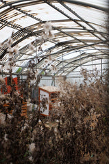 [B] Sonchamp — 2023