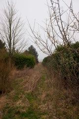 [B] Sonchamp — 2023