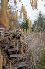 [B] Sonchamp — 2023