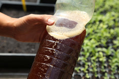 [A] Paris 20ème — Depuis 2017