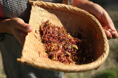 [A] Paris 20ème — Depuis 2017