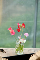 [A] Paris 20ème — Depuis 2017