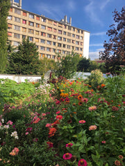 Visite de la ferme parisienne